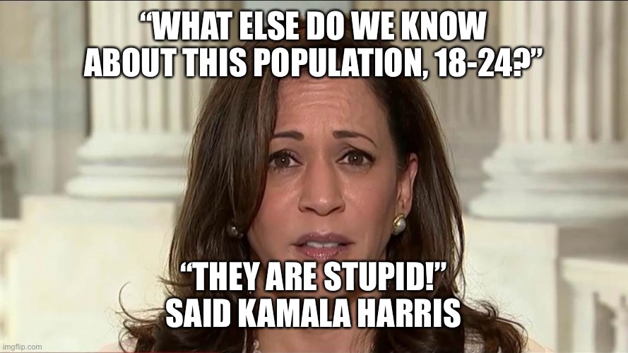 Dear Voters aged 18 to 24, on November 3 prove her wrong by not voting for her! | “WHAT ELSE DO WE KNOW ABOUT THIS POPULATION, 18-24?”; “THEY ARE STUPID!”
SAID KAMALA HARRIS | image tagged in kamala harris,says 18 to 24-year-olds are stupid | made w/ Imgflip meme maker
