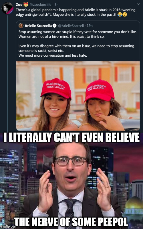 It's the current year, Arielle | I LITERALLY CAN'T EVEN BELIEVE; THE NERVE OF SOME PEEPOL | image tagged in john oliver,lesbian,pandemic,tweet,2016,memes | made w/ Imgflip meme maker