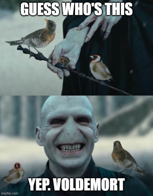 Voldemort is whattttt | GUESS WHO'S THIS; YEP. VOLDEMORT | image tagged in memes | made w/ Imgflip meme maker