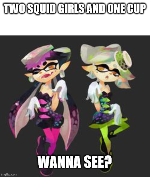 Squid Sisters | TWO SQUID GIRLS AND ONE CUP; WANNA SEE? | image tagged in squid sisters,funny,video games,grossed out | made w/ Imgflip meme maker