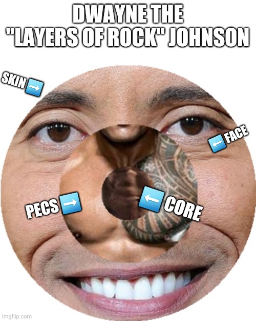 Dwayne The "Layers of Rock" Johnson | DWAYNE THE "LAYERS OF ROCK" JOHNSON; SKIN ➡️; ⬅️ FACE; PECS ➡️; ⬅️ CORE | image tagged in dwayne johnson,the rock,geology | made w/ Imgflip meme maker