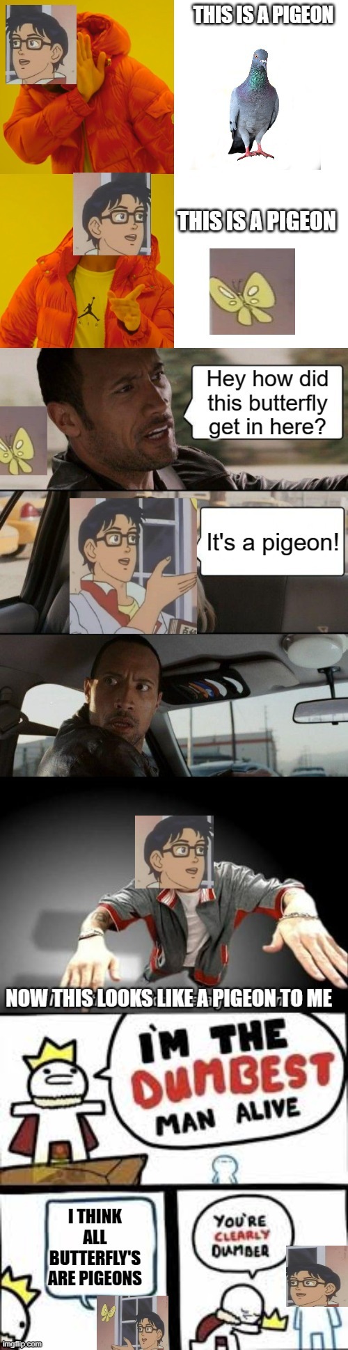 The Ultimate "is this a pigeon" crossovers! | image tagged in is this a pigeon,memes,now this looks like a job for me,the rock driving,drake hotline bling | made w/ Imgflip meme maker