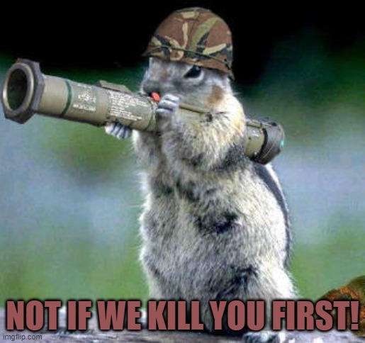 Bazooka Squirrel Meme | NOT IF WE KILL YOU FIRST! | image tagged in memes,bazooka squirrel | made w/ Imgflip meme maker
