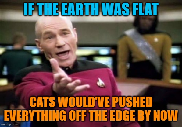Picard Wtf Meme | IF THE EARTH WAS FLAT CATS WOULD'VE PUSHED EVERYTHING OFF THE EDGE BY NOW | image tagged in memes,picard wtf | made w/ Imgflip meme maker