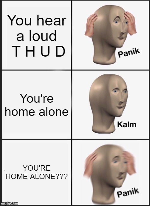 Meme man is gonna have a bad time | You hear a loud  T H U D; You're home alone; YOU'RE HOME ALONE??? | image tagged in memes,panik kalm panik | made w/ Imgflip meme maker