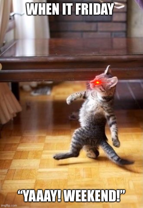 When It Monday | WHEN IT FRIDAY; “YAAAY! WEEKEND!” | image tagged in memes,cool cat stroll | made w/ Imgflip meme maker