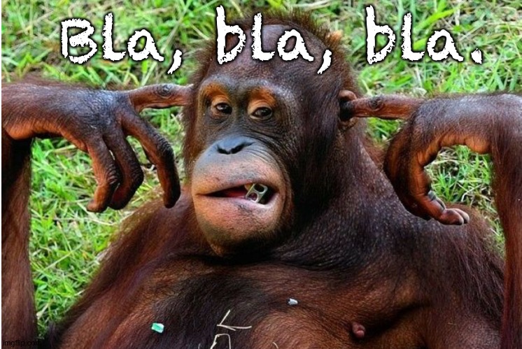 Bla, bla, bla. | made w/ Imgflip meme maker