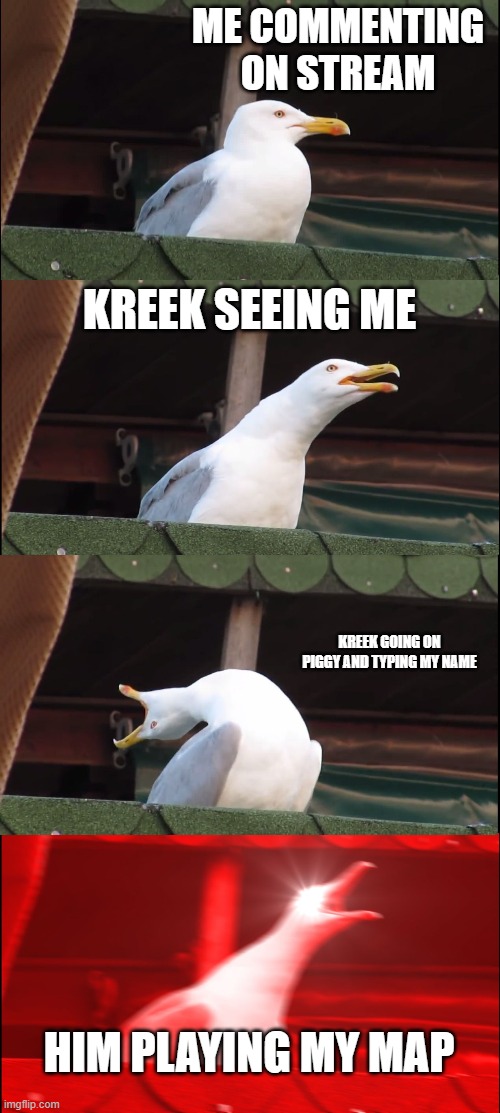 Inhaling Seagull Meme | ME COMMENTING ON STREAM; KREEK SEEING ME; KREEK GOING ON PIGGY AND TYPING MY NAME; HIM PLAYING MY MAP | image tagged in memes,inhaling seagull | made w/ Imgflip meme maker
