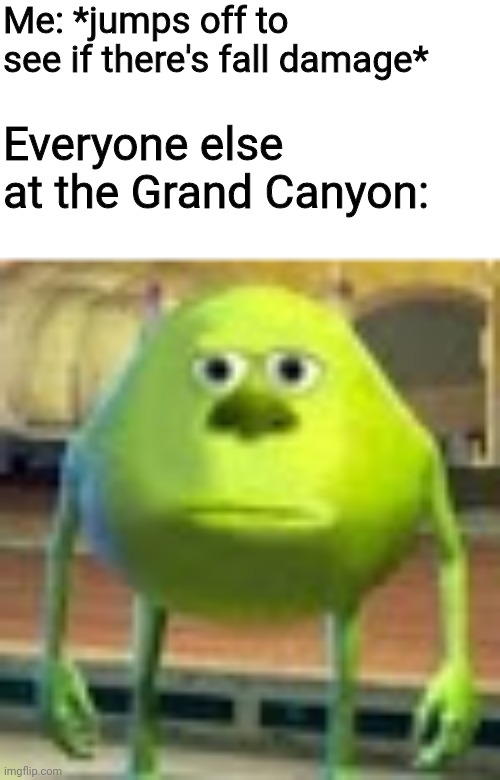 *respawns* Oh yeah there was fall damage | Me: *jumps off to see if there's fall damage*; Everyone else at the Grand Canyon: | image tagged in sully wazowski | made w/ Imgflip meme maker