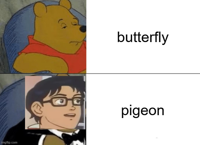 Winnie the Pigeon | butterfly; pigeon | image tagged in memes,tuxedo winnie the pooh,is this a pigeon | made w/ Imgflip meme maker