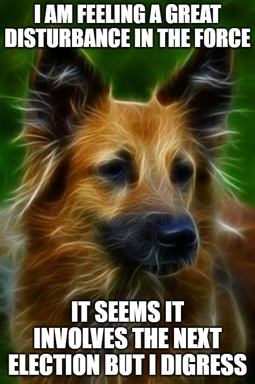 I can feel it | I AM FEELING A GREAT DISTURBANCE IN THE FORCE; IT SEEMS IT INVOLVES THE NEXT ELECTION BUT I DIGRESS | image tagged in dogs,electric,memes,fun,funny,2020 | made w/ Imgflip meme maker