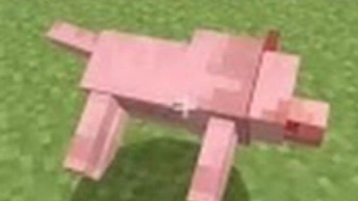 High Quality Minecraft Dog Death Blank Meme Template