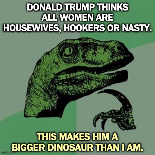 The more Trump attacks Kamala Harris, the more women register as Democrats. Keep it up, *sshole. | DONALD TRUMP THINKS ALL WOMEN ARE HOUSEWIVES, HOOKERS OR NASTY. THIS MAKES HIM A BIGGER DINOSAUR THAN I AM. | image tagged in memes,philosoraptor,kamala harris,housewife,hooker,nasty | made w/ Imgflip meme maker
