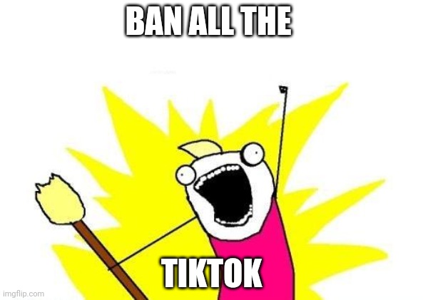 X All The Y | BAN ALL THE; TIKTOK | image tagged in memes,x all the y | made w/ Imgflip meme maker