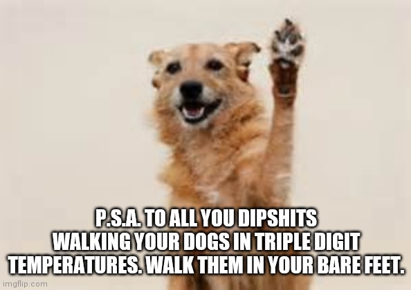 Dog paw | P.S.A. TO ALL YOU DIPSHITS WALKING YOUR DOGS IN TRIPLE DIGIT TEMPERATURES. WALK THEM IN YOUR BARE FEET. | image tagged in dog paw | made w/ Imgflip meme maker
