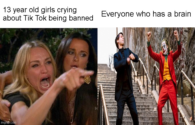 tik tok should die. It should not be recycled | 13 year old girls crying about Tik Tok being banned; Everyone who has a brain | image tagged in memes,woman yelling at cat | made w/ Imgflip meme maker