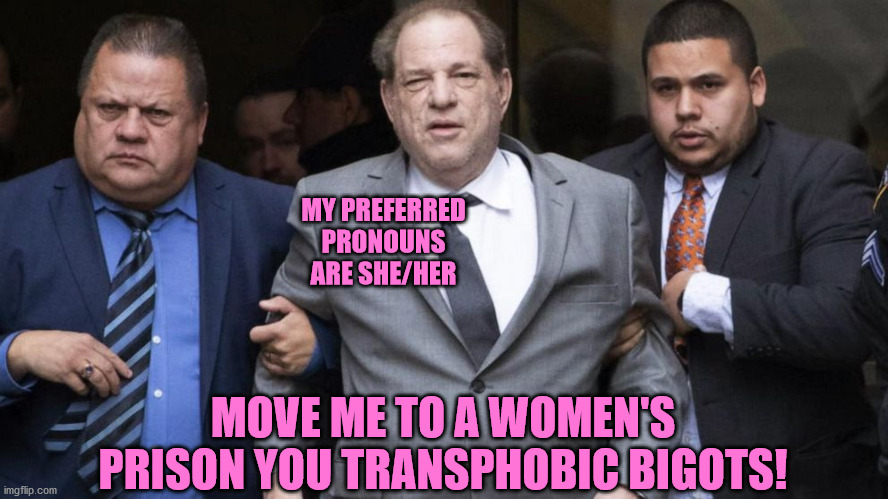 Stunning. Brave. Beautiful. | MY PREFERRED PRONOUNS ARE SHE/HER; MOVE ME TO A WOMEN'S PRISON YOU TRANSPHOBIC BIGOTS! | image tagged in transgender,harvey weinstein,criminal,prison,women,memes | made w/ Imgflip meme maker