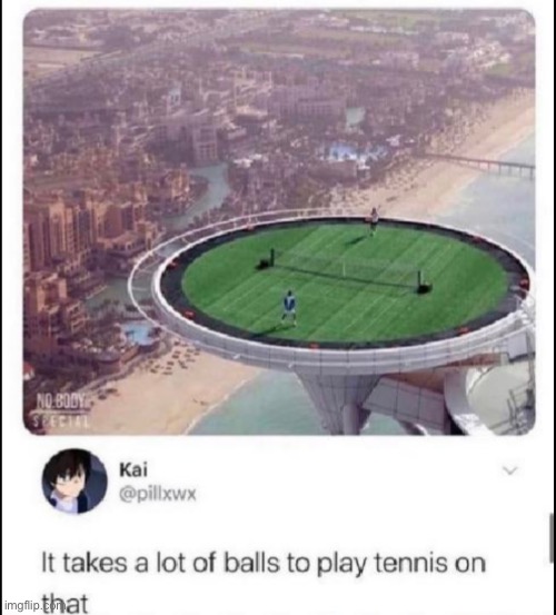 Yes, yes it would | image tagged in tennis | made w/ Imgflip meme maker