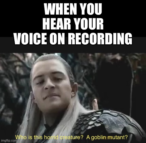 When you hear your voice on recording | WHEN YOU HEAR YOUR VOICE ON RECORDING | image tagged in funny,memes,legolas,the hobbit,egg_irl | made w/ Imgflip meme maker