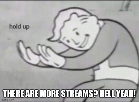 Time to shit post | THERE ARE MORE STREAMS? HELL YEAH! | image tagged in fallout hold up | made w/ Imgflip meme maker