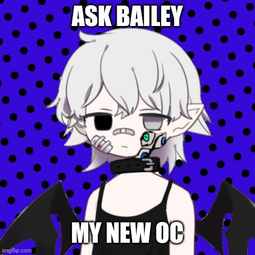 Ask Bailey | ASK BAILEY; MY NEW OC | image tagged in oc | made w/ Imgflip meme maker