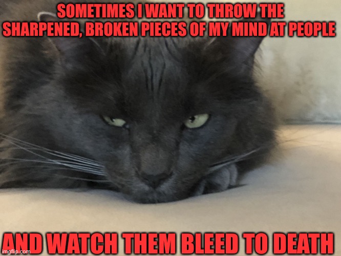 Depressed Cat | SOMETIMES I WANT TO THROW THE SHARPENED, BROKEN PIECES OF MY MIND AT PEOPLE; AND WATCH THEM BLEED TO DEATH | image tagged in depressed cat | made w/ Imgflip meme maker