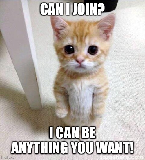 Hi | CAN I JOIN? I CAN BE ANYTHING YOU WANT! | image tagged in memes,cute cat | made w/ Imgflip meme maker
