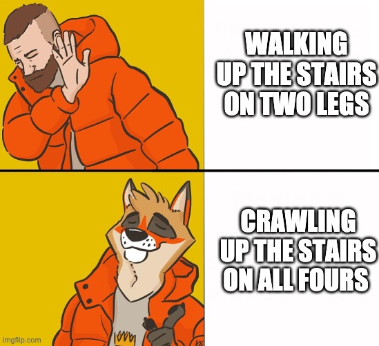 another furry drake format | WALKING UP THE STAIRS ON TWO LEGS; CRAWLING UP THE STAIRS ON ALL FOURS | image tagged in furry drake | made w/ Imgflip meme maker