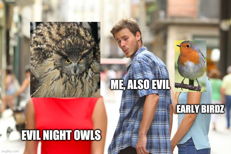 Night owls | ME, ALSO EVIL; EARLY BIRDZ; EVIL NIGHT OWLS | image tagged in memes,distracted boyfriend,owls | made w/ Imgflip meme maker