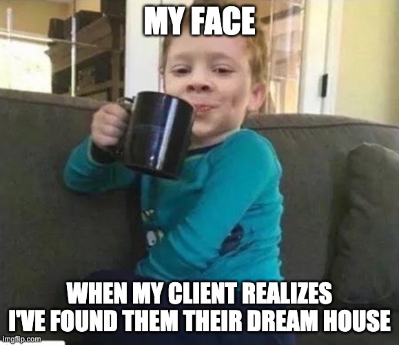 MY FACE; WHEN MY CLIENT REALIZES I'VE FOUND THEM THEIR DREAM HOUSE | image tagged in every mom | made w/ Imgflip meme maker