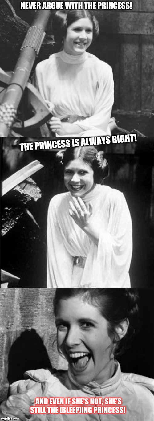 Princess leia | NEVER ARGUE WITH THE PRINCESS! THE PRINCESS IS ALWAYS RIGHT! AND EVEN IF SHE'S NOT, SHE'S STILL THE [BLEEP]ING PRINCESS! | image tagged in princess leia puns | made w/ Imgflip meme maker