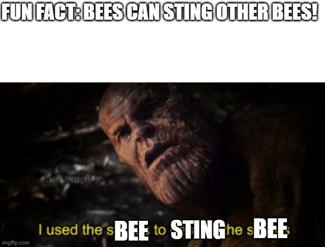 Bees can sting other bees. | FUN FACT: BEES CAN STING OTHER BEES! BEE; BEE; STING | image tagged in i used the stones to destroy the stones,bees,thanos,fun fact,avengers endgame | made w/ Imgflip meme maker