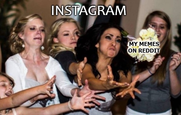 INSTAGRAM; MY MEMES
ON REDDIT | image tagged in instagram | made w/ Imgflip meme maker