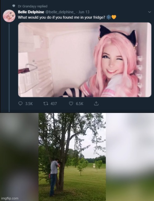 Belle Delphine needs to die | image tagged in memes | made w/ Imgflip meme maker