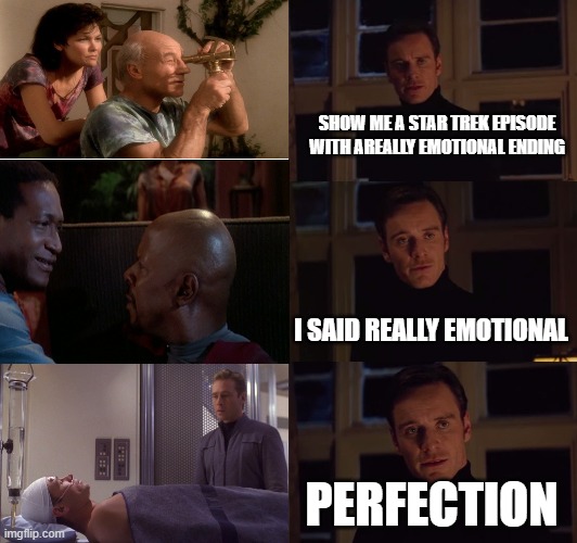 perfection | SHOW ME A STAR TREK EPISODE WITH AREALLY EMOTIONAL ENDING; I SAID REALLY EMOTIONAL; PERFECTION | image tagged in perfection | made w/ Imgflip meme maker