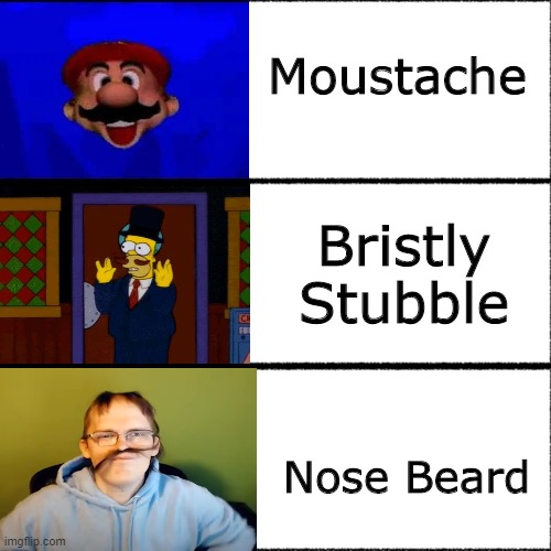 Moustache Debate |  Moustache; Bristly Stubble; Nose Beard | image tagged in crackhead winnie | made w/ Imgflip meme maker