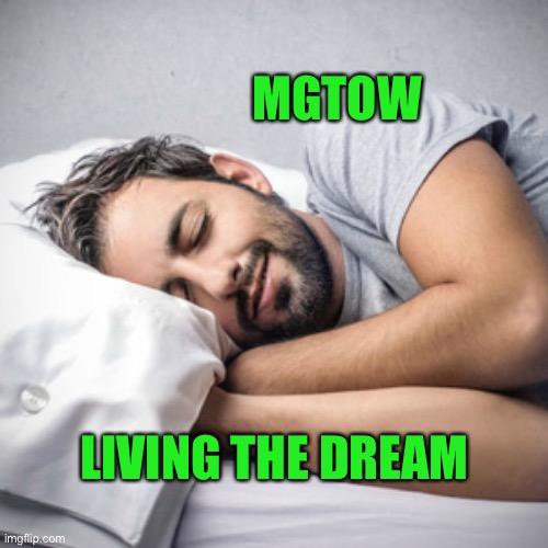 No worries | MGTOW; LIVING THE DREAM | image tagged in give peace a chance | made w/ Imgflip meme maker