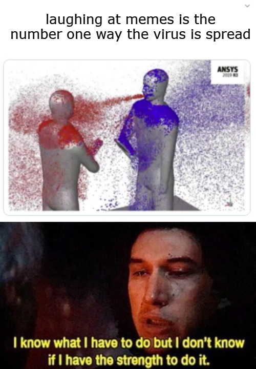 laughing at memes is the number one way the virus is spread | image tagged in memes | made w/ Imgflip meme maker