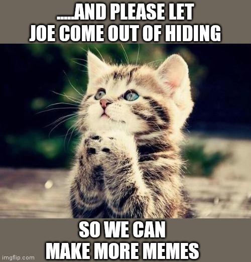 Cat Begging | .....AND PLEASE LET JOE COME OUT OF HIDING; SO WE CAN MAKE MORE MEMES | image tagged in cat begging | made w/ Imgflip meme maker
