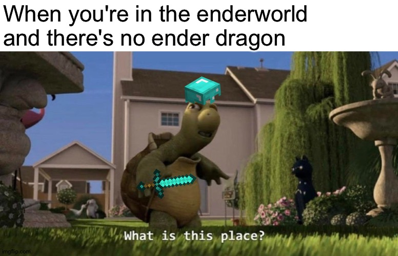 What is this place | When you're in the enderworld and there's no ender dragon | image tagged in what is this place | made w/ Imgflip meme maker