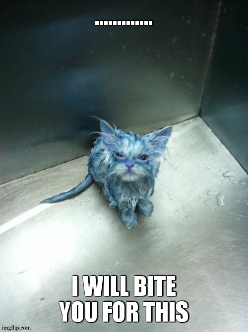 I will BITE you |  ............. I WILL BITE YOU FOR THIS | image tagged in memes,kill you cat,bite | made w/ Imgflip meme maker