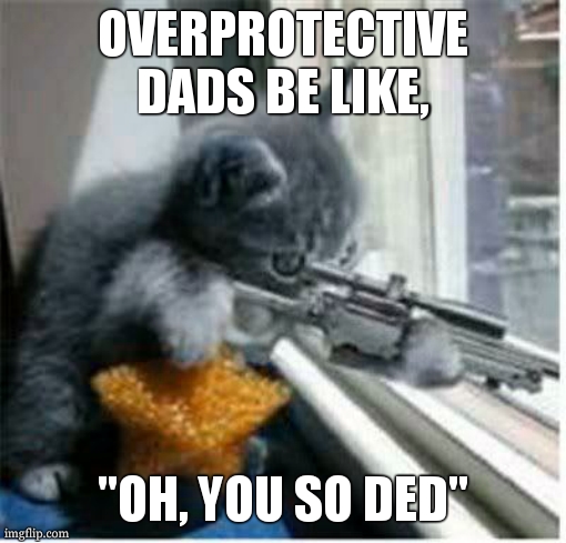 overprotective dads | OVERPROTECTIVE DADS BE LIKE, "OH, YOU SO DED" | image tagged in cats with guns | made w/ Imgflip meme maker