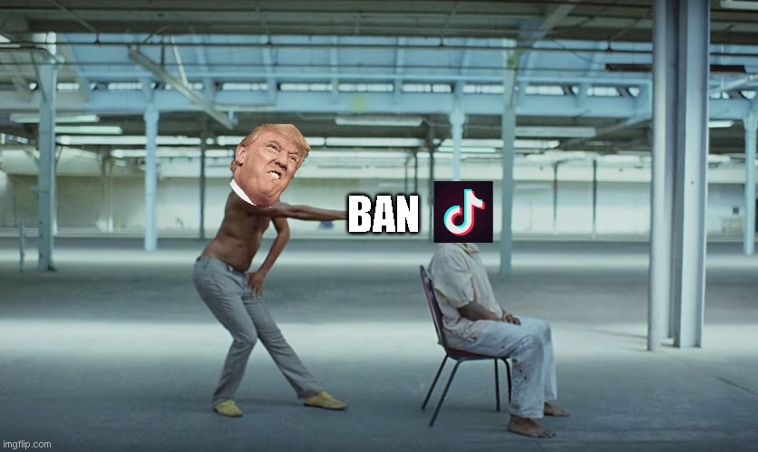 tik tok shall be gone | BAN | image tagged in this is america | made w/ Imgflip meme maker