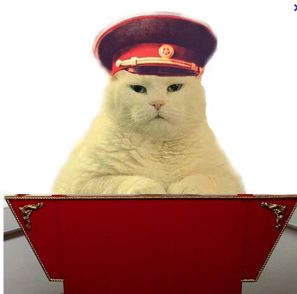 High Quality Commie Cat Blank Meme Template