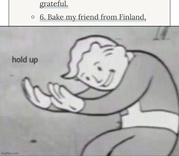 I want to bake my friend from Finland! XD | image tagged in fallout hold up,yeet,um idfk,hi,bye | made w/ Imgflip meme maker