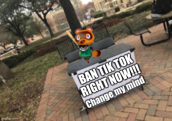 More Like, Don't Change My Mind | BAN TIK TOK RIGHT NOW!!! | image tagged in change my mind tom nook | made w/ Imgflip meme maker