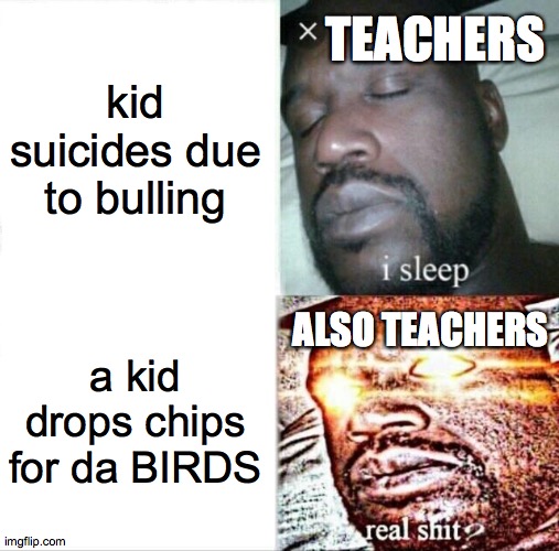 Sleeping Shaq |  TEACHERS; kid suicides due to bulling; ALSO TEACHERS; a kid drops chips for da BIRDS | image tagged in memes,sleeping shaq | made w/ Imgflip meme maker