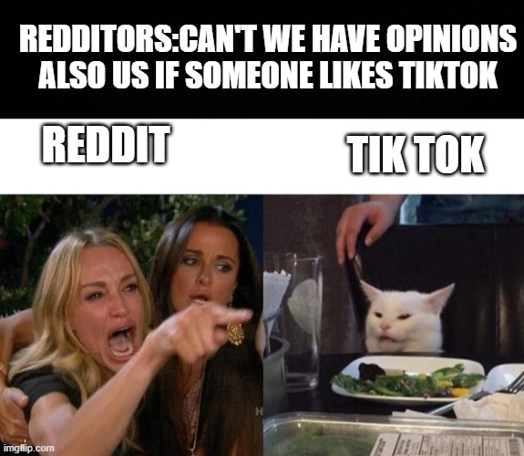 I hate tiktok but you do you - Imgflip