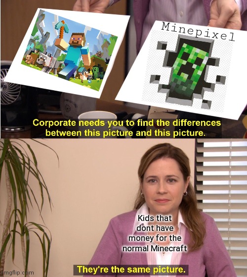 Minecraft ripoff | Minepixel; Kids that dont have money for the normal Minecraft | image tagged in memes,they're the same picture | made w/ Imgflip meme maker