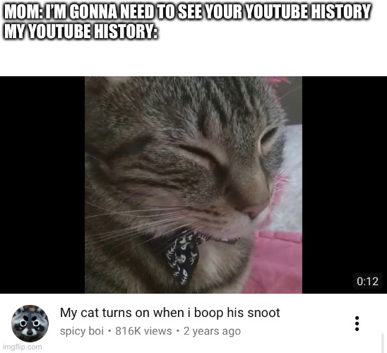 MOM: I’M GONNA NEED TO SEE YOUR YOUTUBE HISTORY 
MY YOUTUBE HISTORY: | image tagged in memes,youtube | made w/ Imgflip meme maker